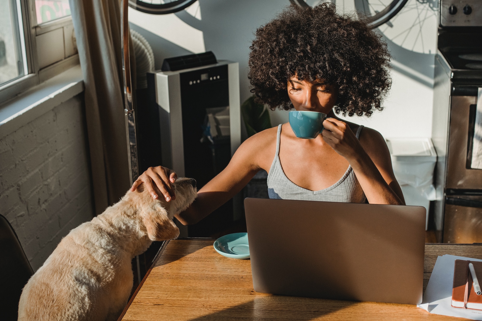 woman on laptop drinking coffee with dog