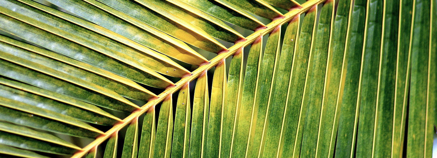 Grow & Manage Your Money