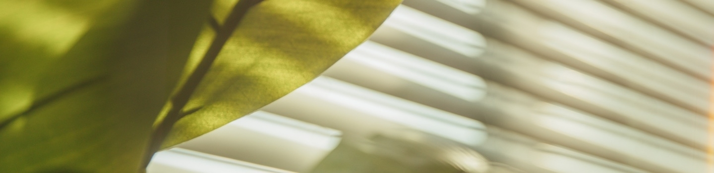 Past Butterfield Insights