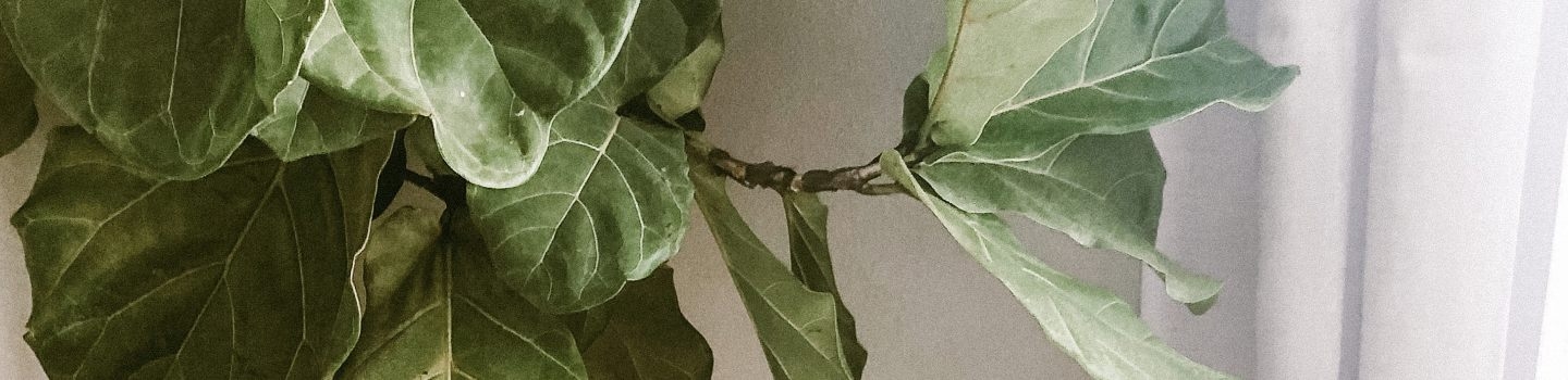 2024 scholarship recipients