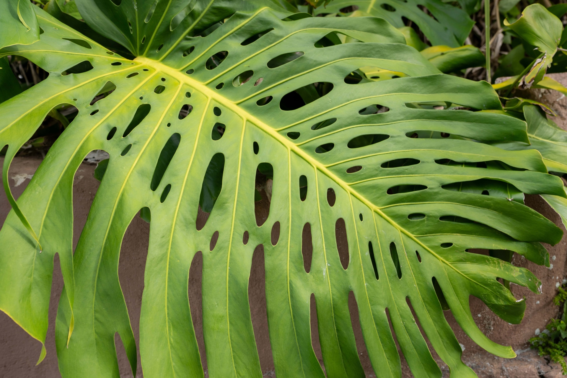 Discretionary Investment Management Clients Enjoy: