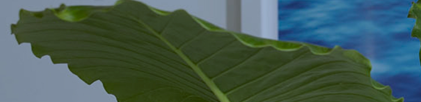 Events & Presentations