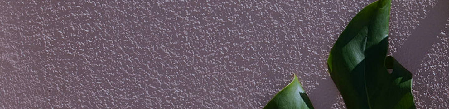 Somerset Banking Centre