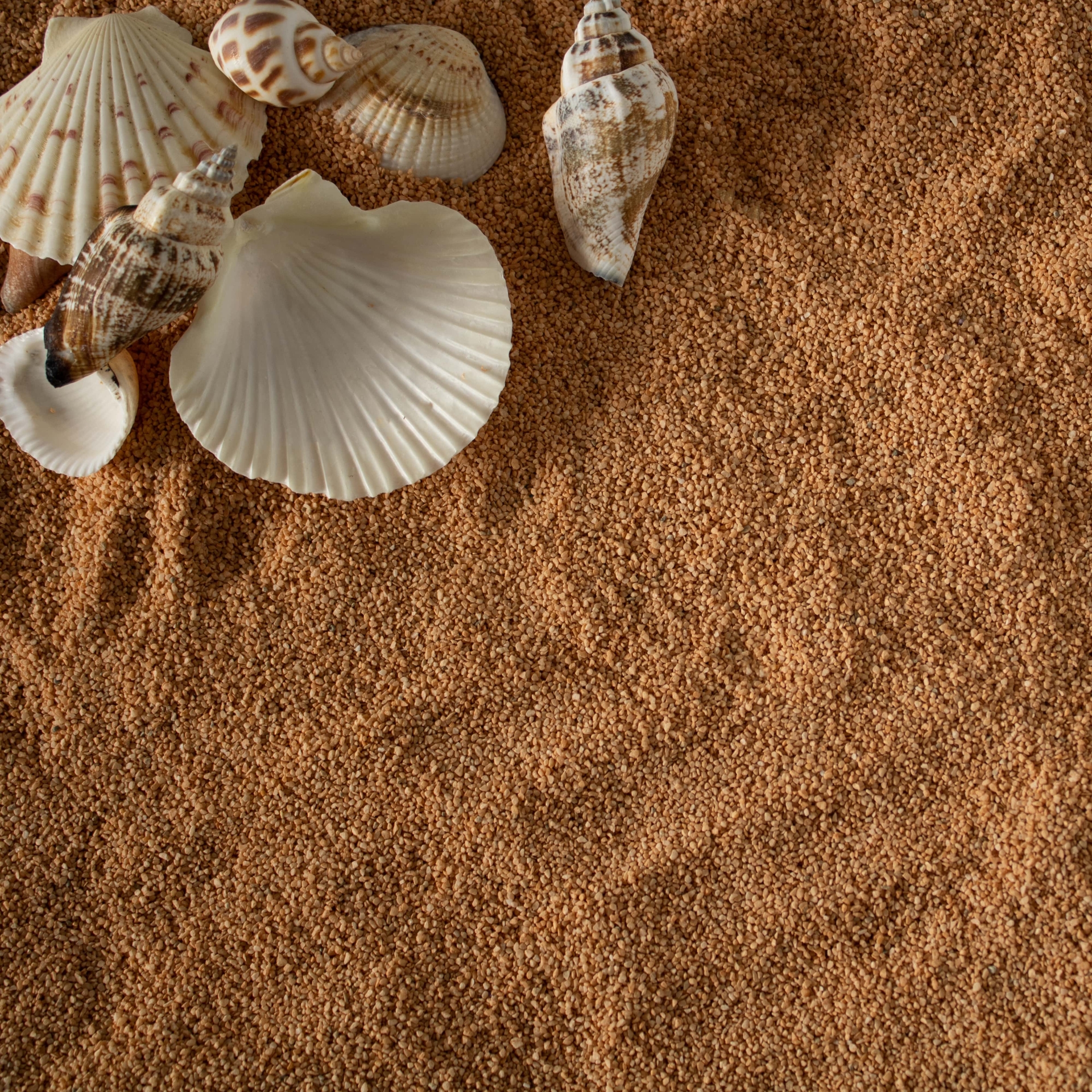 Multi-Asset Balanced Fund