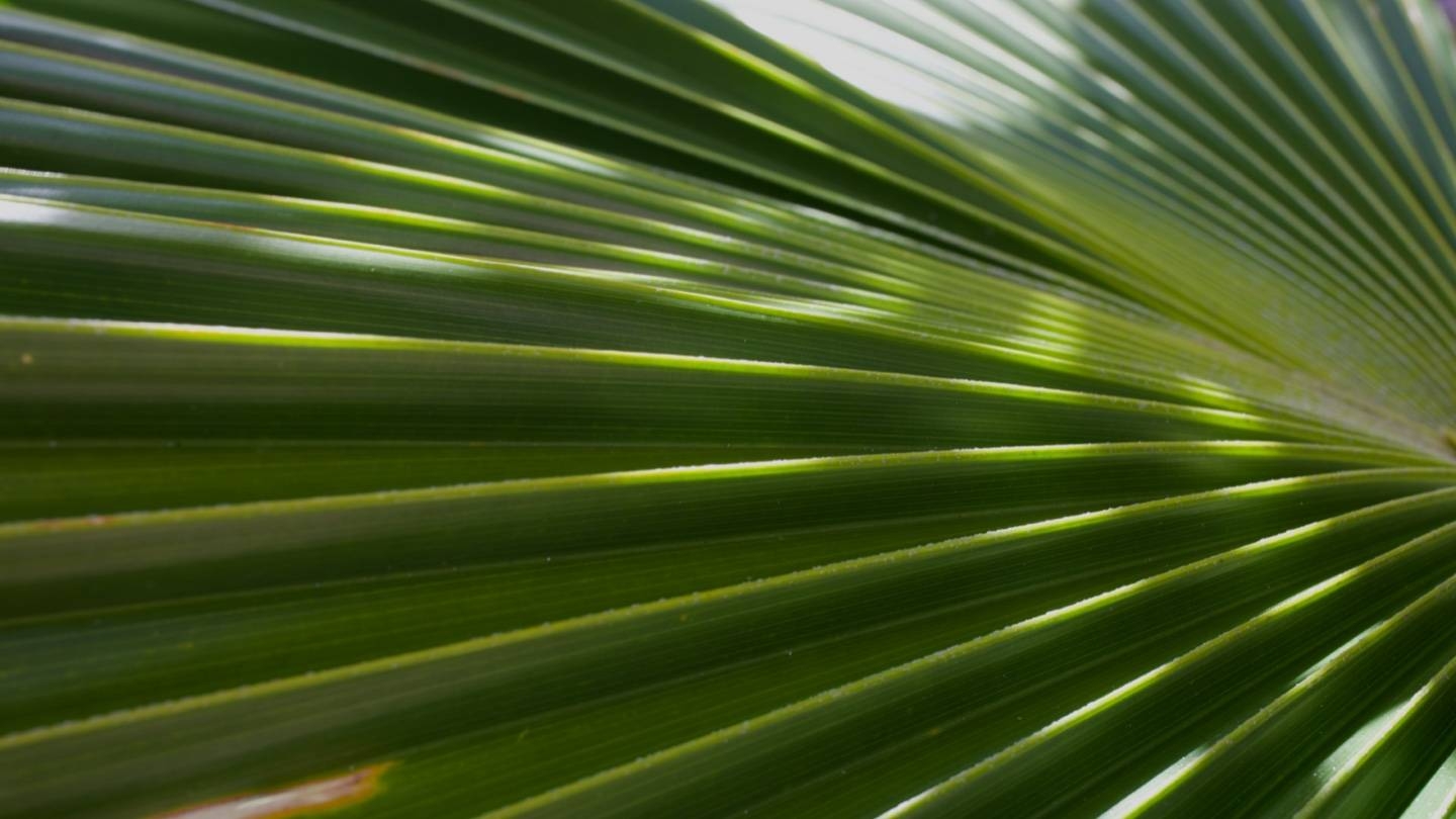 Butterfield in The Bahamas 
