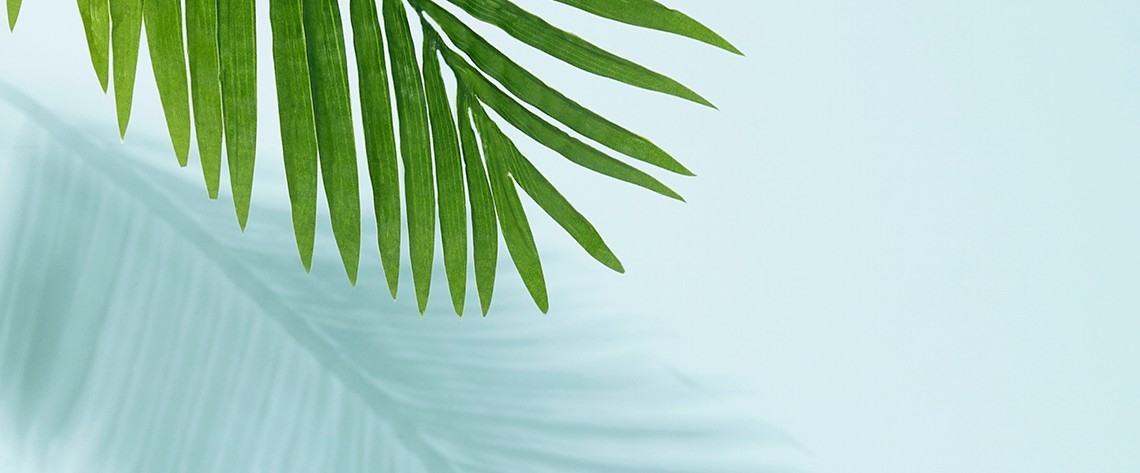 Overdraft protection